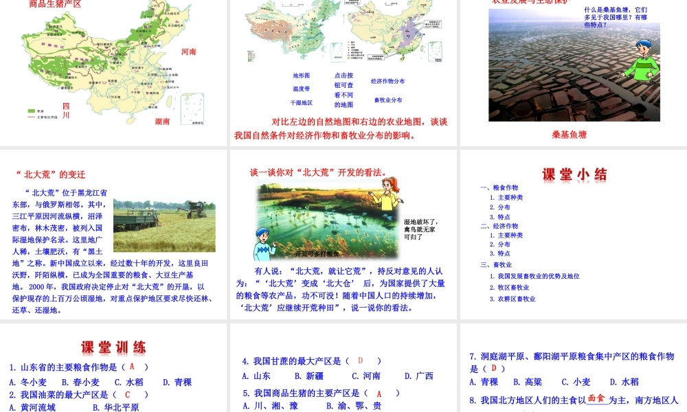 2014年八年级地理上册 4.1.2 主要经济作物的分布课件 （新版）湘教版