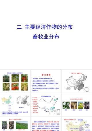 2014年八年级地理上册 4.1.2 主要经济作物的分布课件 （新版）湘教版
