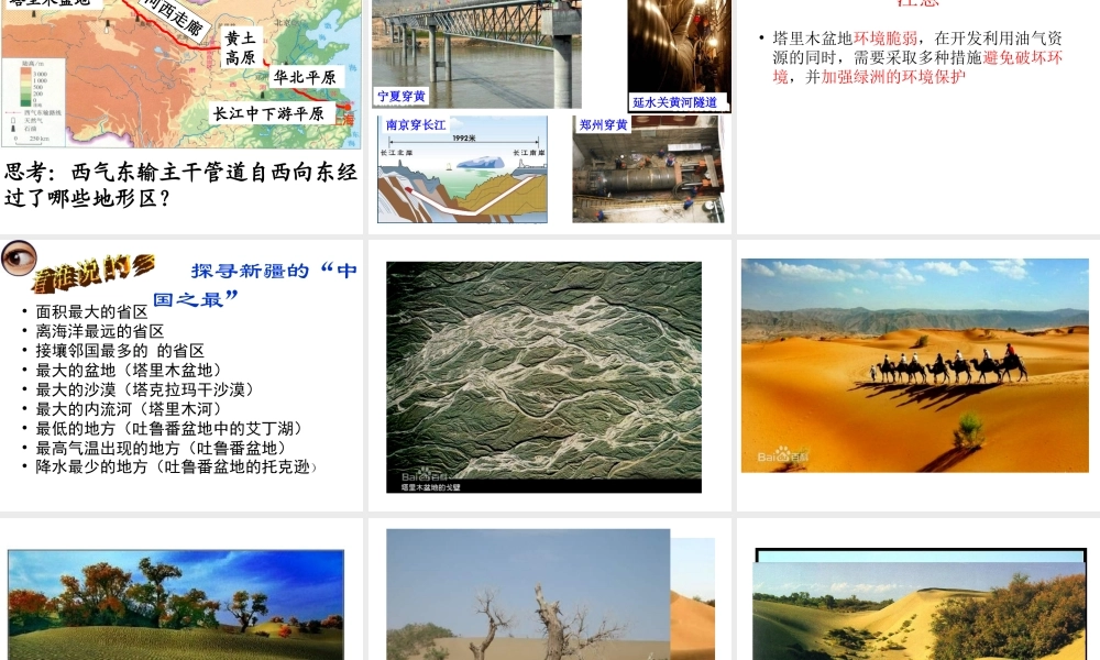 2014年八年级地理下册 第八章 第二节 干旱的宝地——塔里木盆地课件 （新版）新人教版