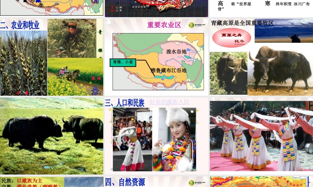 2014年八年级地理下册 第九章 第一节 自然特征与农业课件 （新版）新人教版