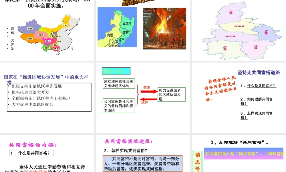 2014年秋九年级政治全册 第二单元 第一课 走共同富裕道路课件2 粤教版