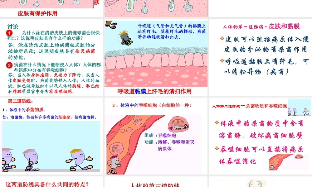 2014八年级生物下册 第二节 免疫和计划免疫课件 新人教版