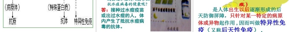 2014八年级生物下册 第二节 免疫和计划免疫课件 新人教版