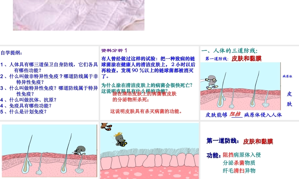 2014八年级生物下册 第二节 免疫与计划免疫课件 新人教版