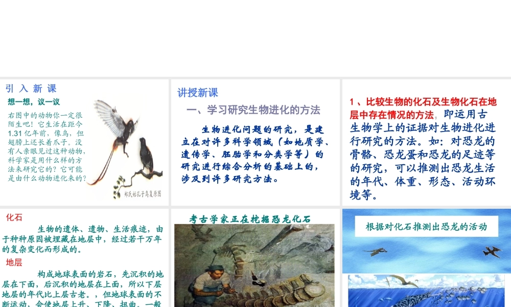 2014八年级生物下册 第二节 生物进化的历程课件 新人教版