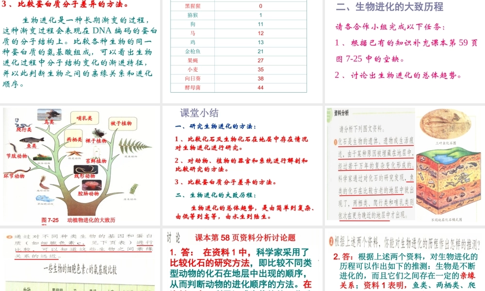 2014八年级生物下册 第二节 生物进化的历程课件 新人教版