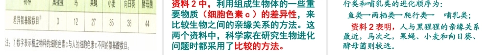 2014八年级生物下册 第二节 生物进化的历程课件 新人教版