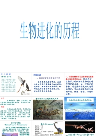 2014八年级生物下册 第二节 生物进化的历程课件 新人教版