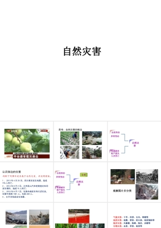 2014-2015学年八年级地理上册 2.4 自然灾害课件 （新版）新人教版