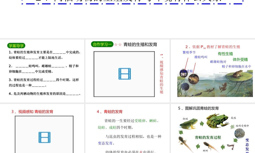2014八年级生物下册 第七单元第一章《生物的生殖和发育》第三节《两栖动物的生殖和发育》课件 新人教版