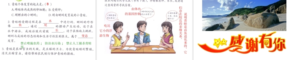 2014八年级生物下册 第七单元第一章《生物的生殖和发育》第三节《两栖动物的生殖和发育》课件 新人教版