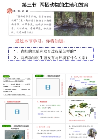 2014八年级生物下册 第七单元第一章《生物的生殖和发育》第三节《两栖动物的生殖和发育》课件 新人教版