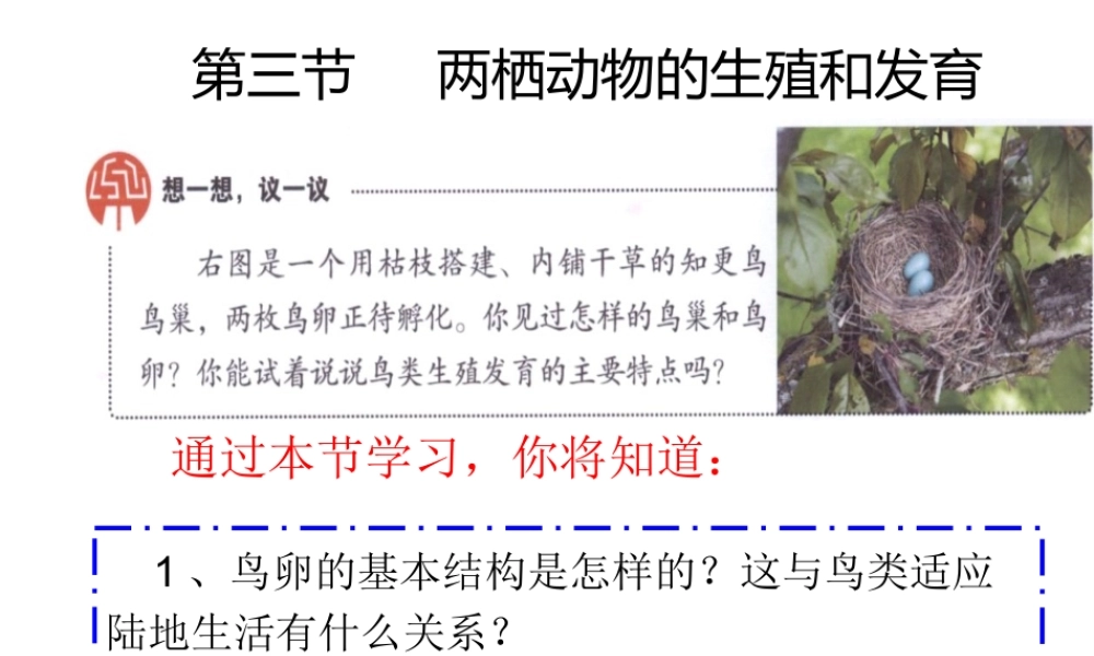 2014八年级生物下册 第七单元第一章《生物的生殖和发育》第四节《鸟的生殖和发育》课件 新人教版