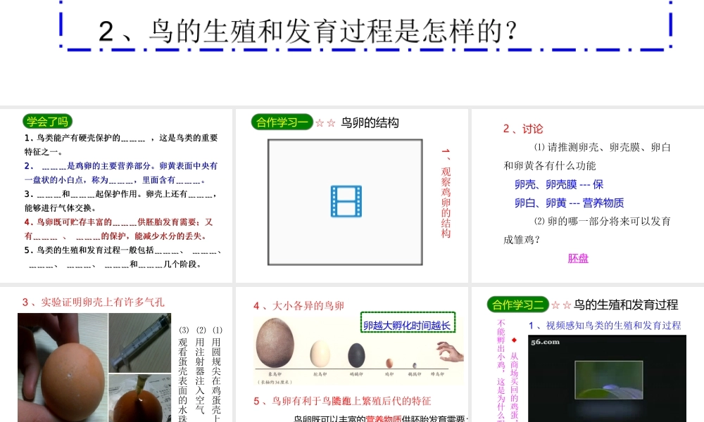 2014八年级生物下册 第七单元第一章《生物的生殖和发育》第四节《鸟的生殖和发育》课件 新人教版