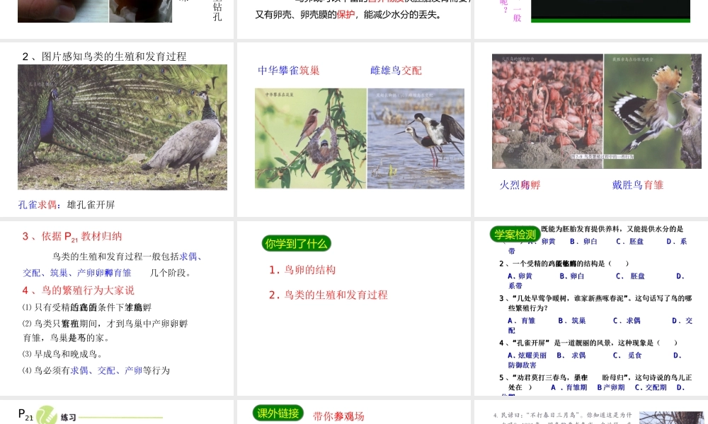 2014八年级生物下册 第七单元第一章《生物的生殖和发育》第四节《鸟的生殖和发育》课件 新人教版