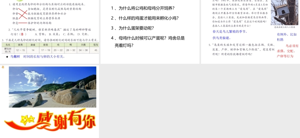 2014八年级生物下册 第七单元第一章《生物的生殖和发育》第四节《鸟的生殖和发育》课件 新人教版