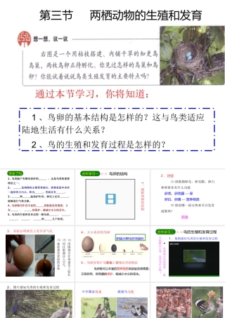2014八年级生物下册 第七单元第一章《生物的生殖和发育》第四节《鸟的生殖和发育》课件 新人教版
