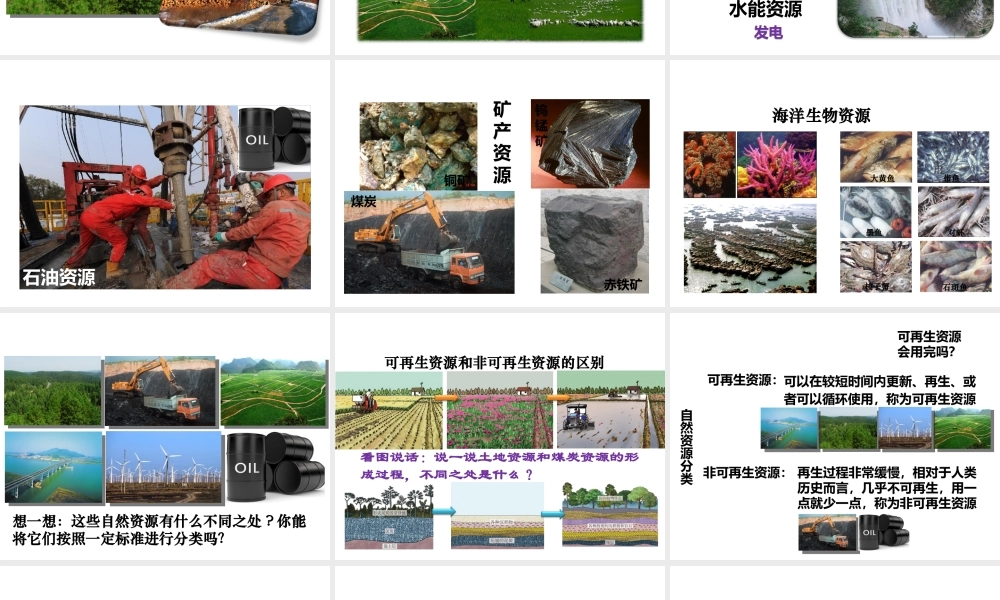 2014-2015学年八年级地理上册 3.1 自然资源的基本特征课件 （新版）新人教版