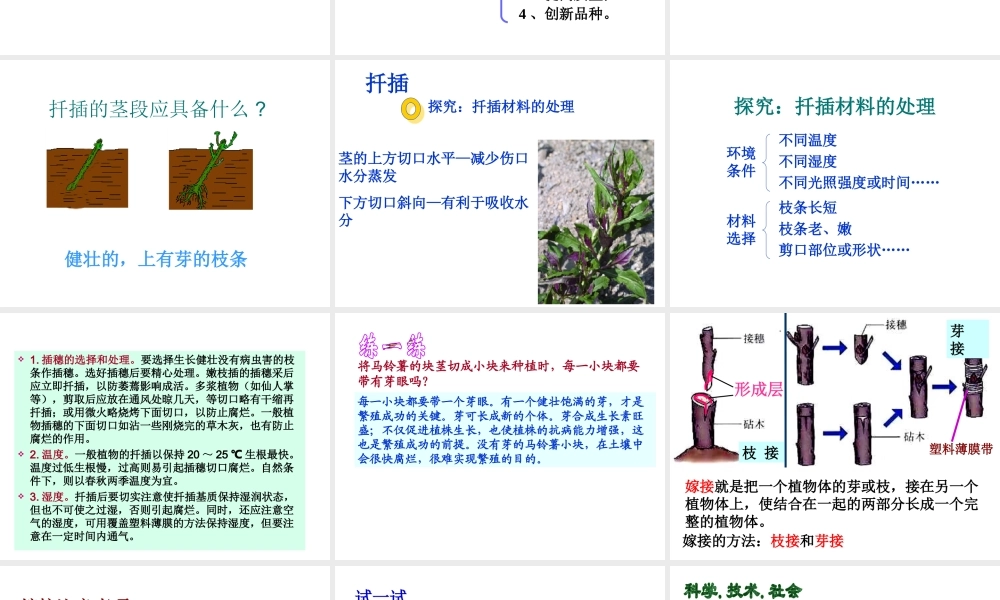 2014八年级生物下册 第七单元第一章《生物的生殖和发育》第一节《植物的生殖》（第二课时）课件 新人教版