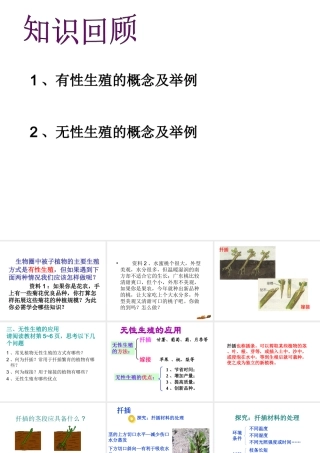 2014八年级生物下册 第七单元第一章《生物的生殖和发育》第一节《植物的生殖》（第二课时）课件 新人教版