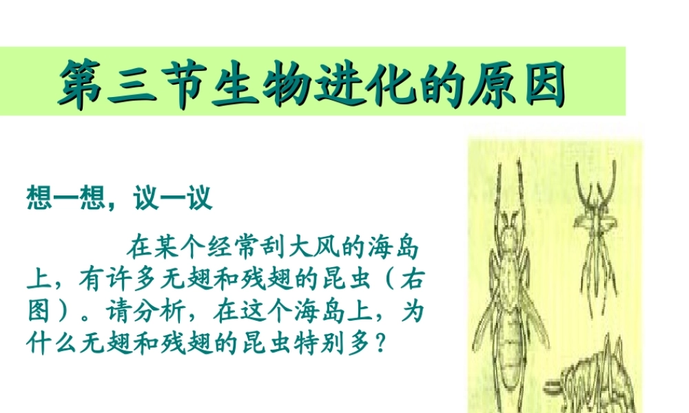 2014八年级生物下册 第三节 生物进化的原因课件 新人教版