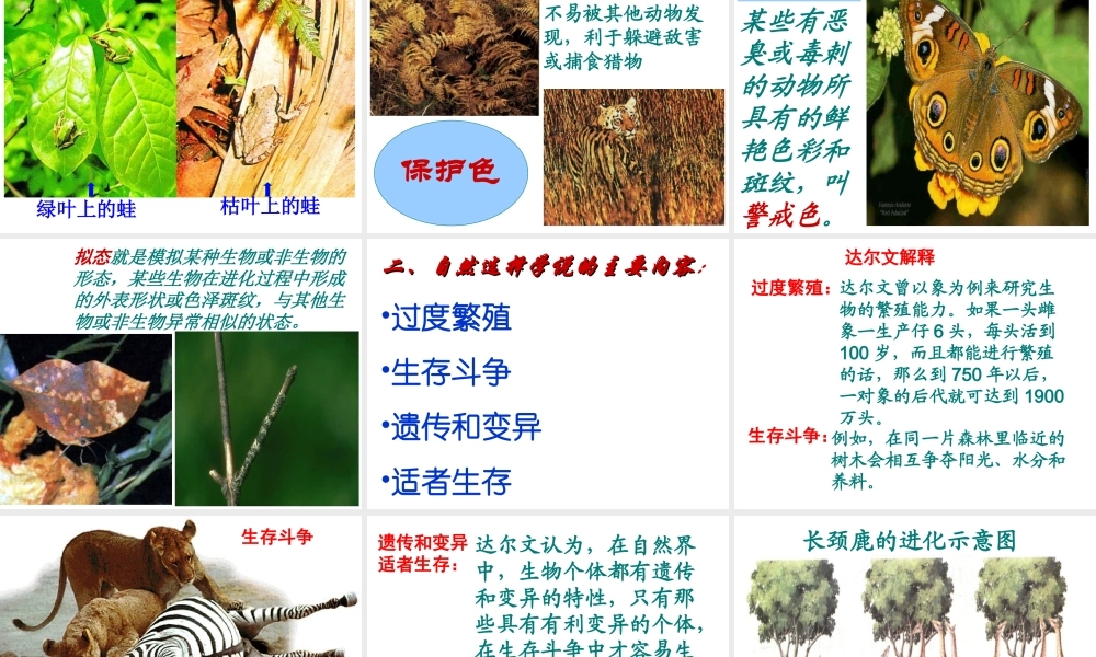 2014八年级生物下册 第三节 生物进化的原因课件 新人教版