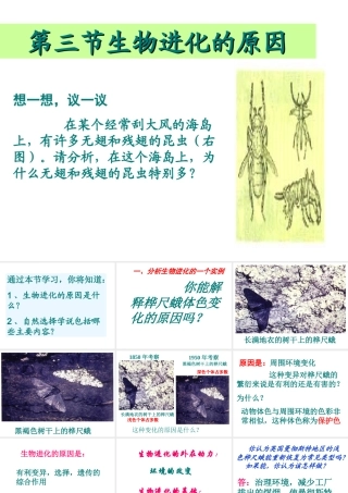 2014八年级生物下册 第三节 生物进化的原因课件 新人教版