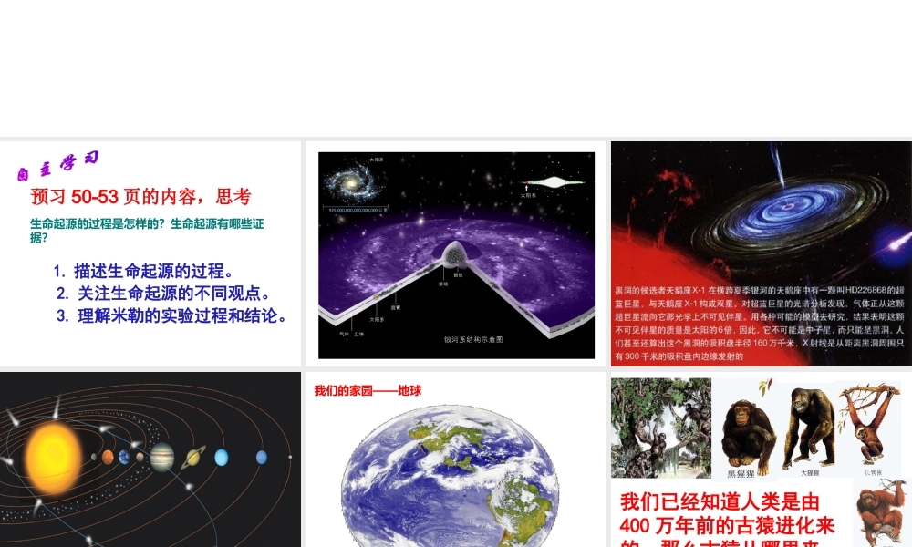 2014八年级生物下册 第一节 地球上生命的起源课件 新人教版