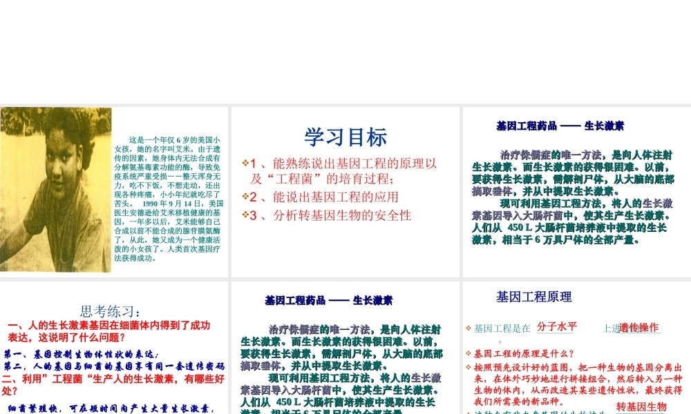 2014八年级生物下册 第一节 基因工程课件 济南版