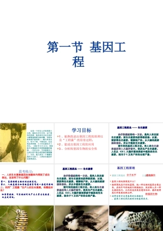 2014八年级生物下册 第一节 基因工程课件 济南版