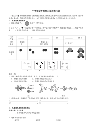 中考化学专题复习微观图示题