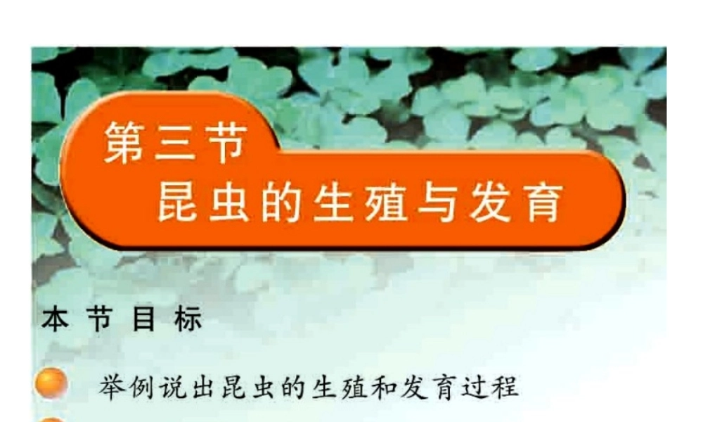 2014八年级生物下册 第一章 第二节 昆虫的生殖与发育课件 新人教版