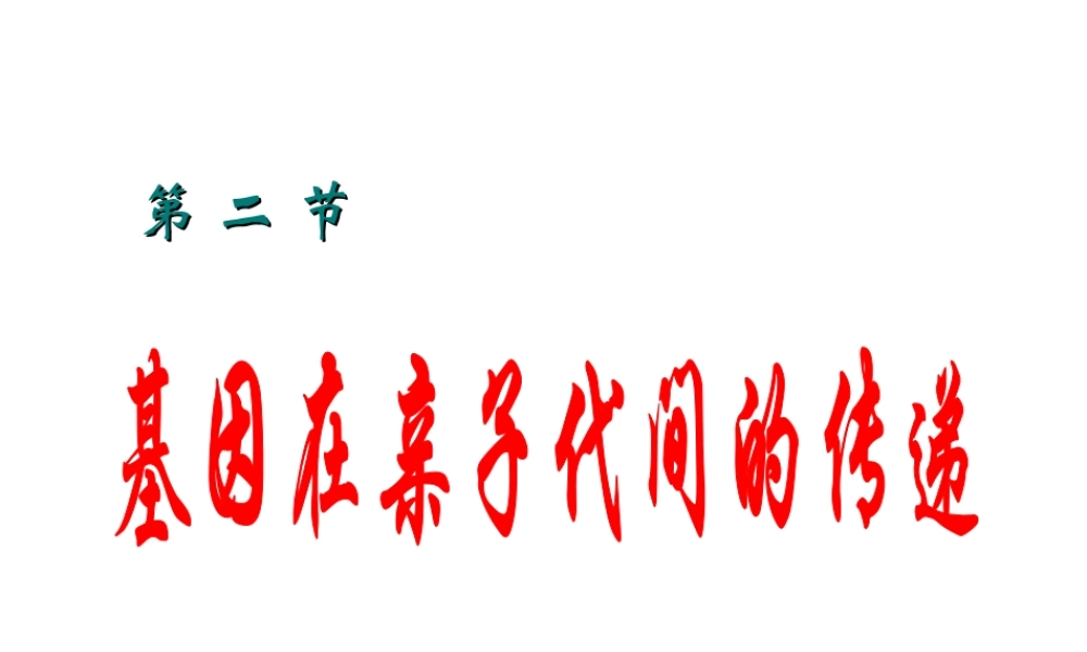 2014年八年级生物下册 第二节 基因在亲子代间的传递课件 新人教版