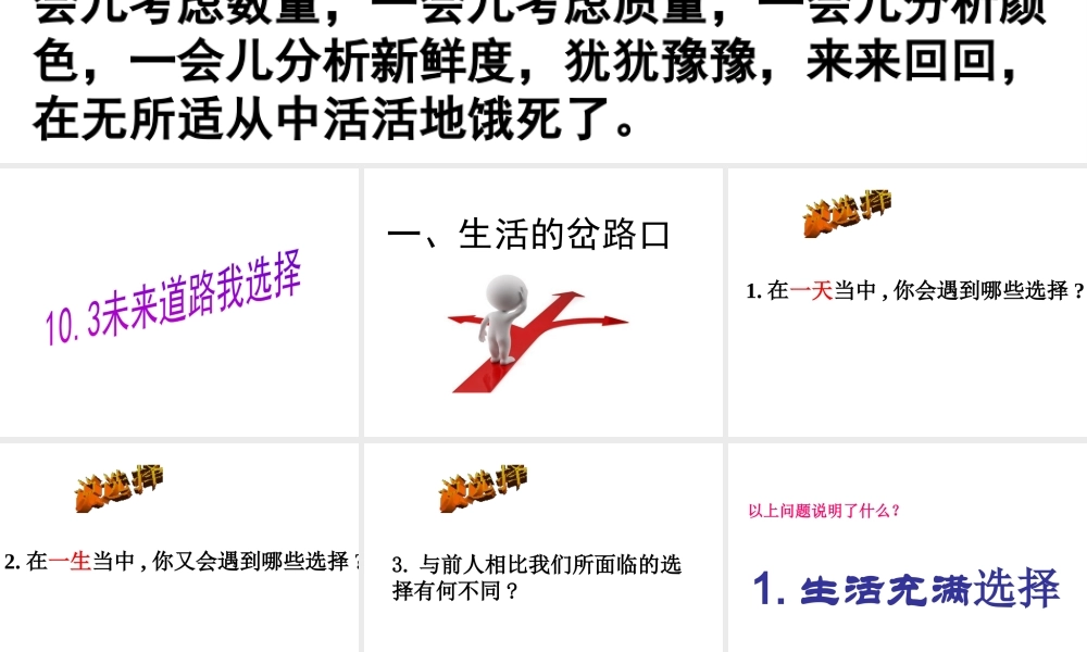 2014年秋九年级政治全册 第十课 第三框 未来道路我选择课件 新人教版
