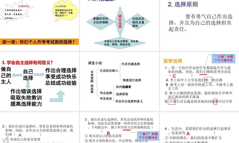 2014年秋九年级政治全册 第十课 第三框 未来道路我选择课件 新人教版