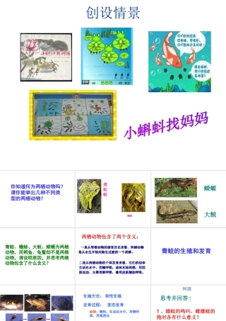 2014年八年级生物下册 第三节 两栖动物的生殖和发育课件 新人教版