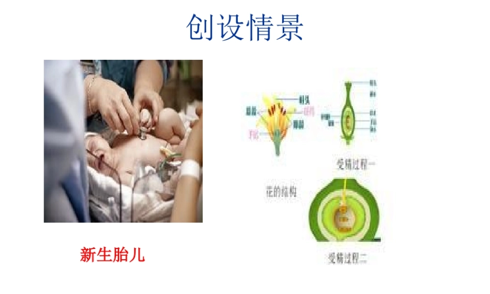 2014年八年级生物下册 第一节 植物的生殖课件 新人教版