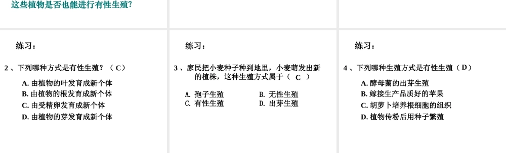 2014年八年级生物下册 第一节 植物的生殖课件 新人教版