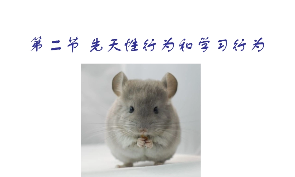 2014年广东省八年级生物上册 5.2.2 先天性行为和学习行为说课课件 （新版）新人教版