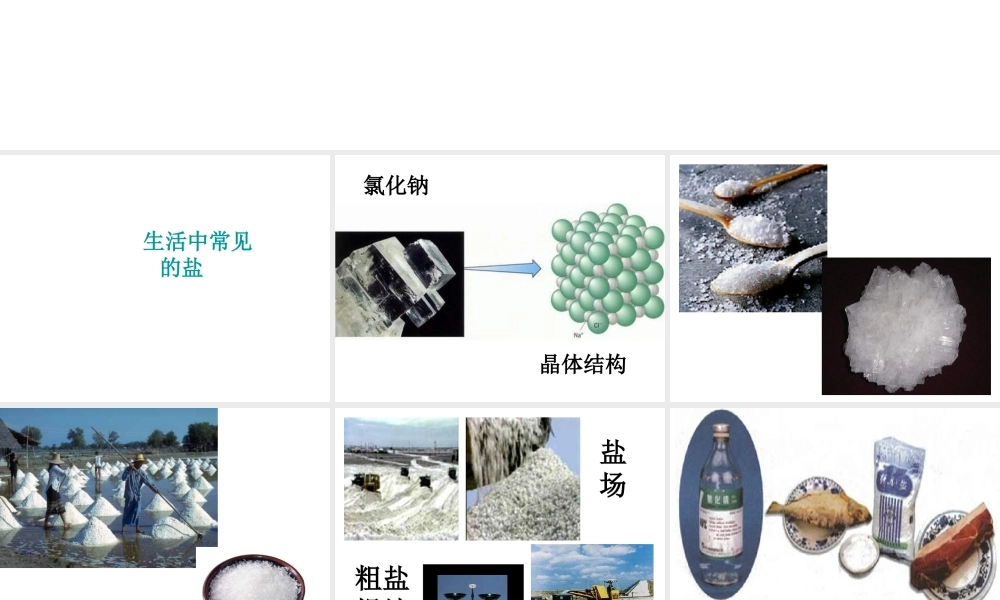2014年九年级化学下册 第十一单元 课题1《生活中常见的盐》课件 新人教版