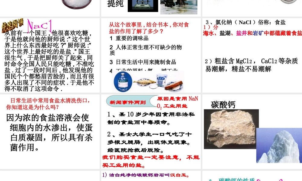 2014年九年级化学下册 第十一单元 课题1《生活中常见的盐》课件 新人教版