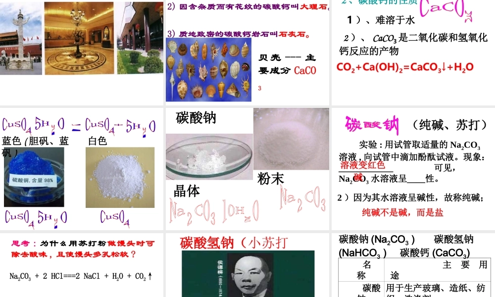 2014年九年级化学下册 第十一单元 课题1《生活中常见的盐》课件 新人教版