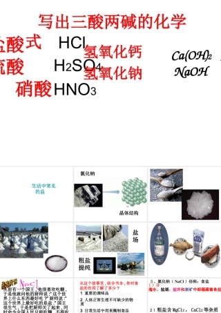 2014年九年级化学下册 第十一单元 课题1《生活中常见的盐》课件 新人教版