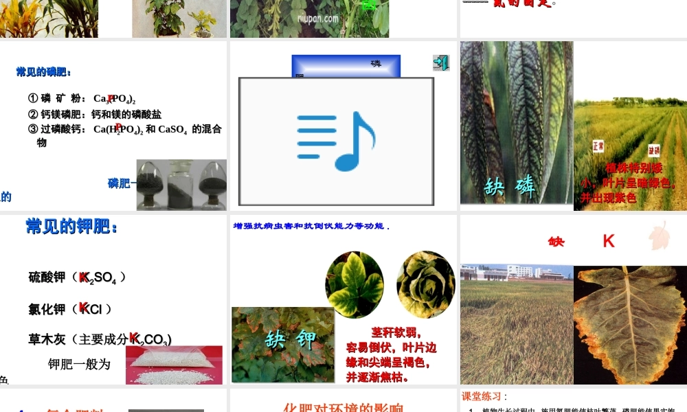 2014年九年级化学下册 第十一单元 课题2《化学肥料》课件 新人教版