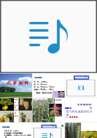 2014年九年级化学下册 第十一单元 课题2《化学肥料》课件 新人教版