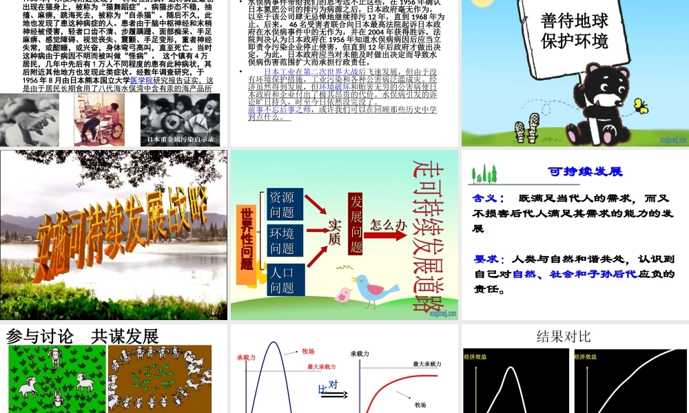 2014年秋九年级政治全册 第四课 第三框 实施可持续发展战略课件1 新人教版