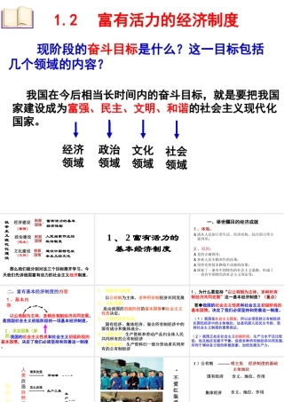 2014年秋九年级政治全册 第一单元 第二课 富有活力的经济制度课件 粤教版