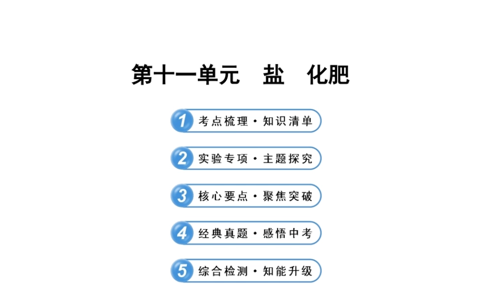 2014届中考化学一轮复习 第十一单元《盐 化肥》（考点梳理+核心要点+经典真题+综合检测）课件 新人教版
