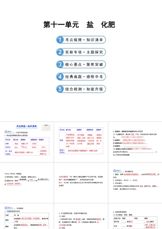 2014届中考化学一轮复习 第十一单元《盐 化肥》（考点梳理+核心要点+经典真题+综合检测）课件 新人教版