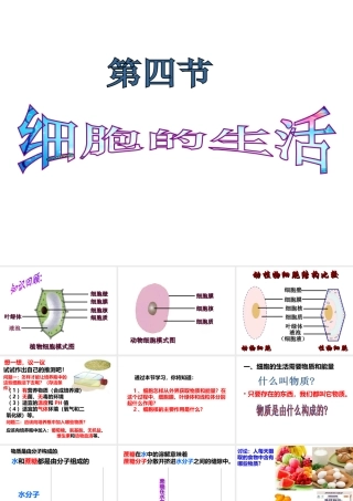 2014年秋七年级的生物上册 2.1.4 细胞的生活课件 （新版）新人教版
